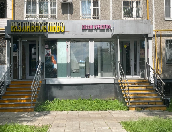 Продажа ПСН 45 м² ул. Красного Маяка, 4К1